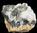 Cerussite Crystals with Bladed Barite on Galena- Morocco #44772-1